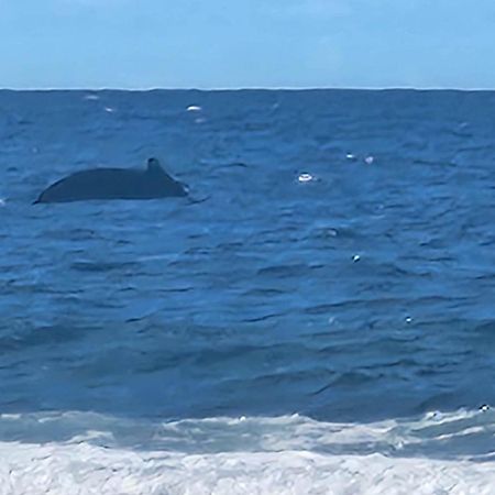 Moorea Temae Bungalow Lory Bord De Mer 外观 照片