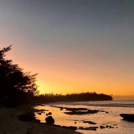 Moorea Temae Bungalow Lory Bord De Mer 外观 照片