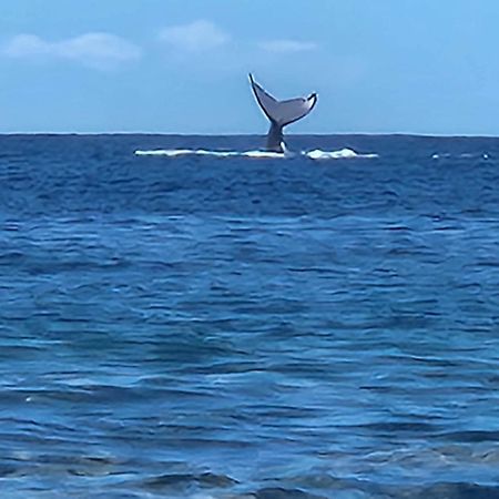Moorea Temae Bungalow Lory Bord De Mer 外观 照片